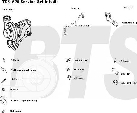 BTS Turbo T981525 - Компресор, наддув autocars.com.ua