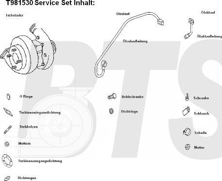 BTS Turbo T981530 - Турбина, компрессор autodnr.net