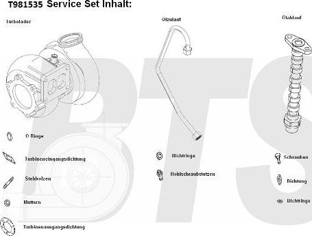 BTS Turbo T981535BL - Компресор, наддув autocars.com.ua