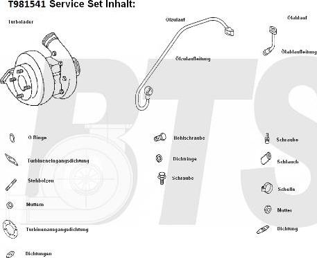 BTS Turbo T981541 - Компресор, наддув autocars.com.ua