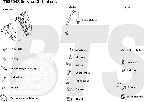 BTS Turbo T981548 - Компресор, наддув autocars.com.ua