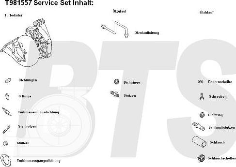 BTS Turbo T981557 - Компресор, наддув autocars.com.ua