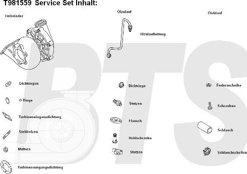 BTS Turbo T981559 - Турбина, компрессор autodnr.net