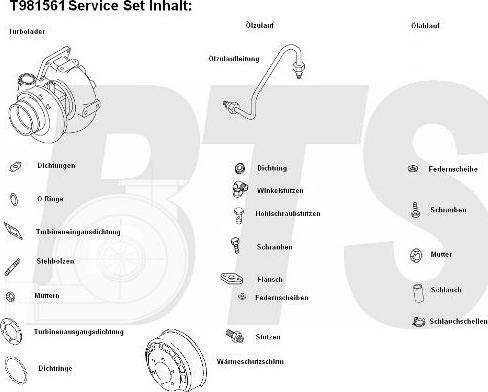 BTS Turbo T981561 - Турбина, компрессор autodnr.net