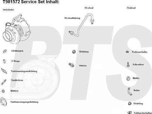 BTS Turbo T981572 - Компресор, наддув autocars.com.ua