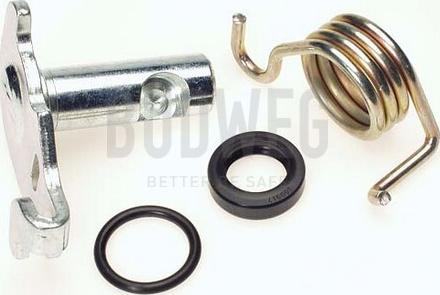 Budweg Caliper 209910 - Ремкомплект, вал гальмо гальмівної (гальмівний супорт) autocars.com.ua