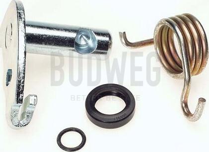 Budweg Caliper 209914 - Ремкомплект, вал гальмо гальмівної (гальмівний супорт) autocars.com.ua