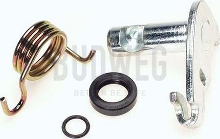 Budweg Caliper 209916 - Ремкомплект, вал гальмо гальмівної (гальмівний супорт) autocars.com.ua