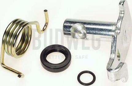 Budweg Caliper 209917 - Ремкомплект, вал гальмо гальмівної (гальмівний супорт) autocars.com.ua