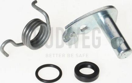 Budweg Caliper 209935 - Ремкомплект, вал гальмо гальмівної (гальмівний супорт) autocars.com.ua