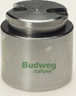 Budweg Caliper 231584 - Поршень, корпус скоби гальма autocars.com.ua
