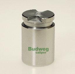 Budweg Caliper 233010 - Поршень, корпус скобы тормоза avtokuzovplus.com.ua