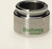 Budweg Caliper 233502 - Поршень, корпус скобы тормоза avtokuzovplus.com.ua