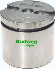 Budweg Caliper 235733 - Поршень, корпус скобы тормоза avtokuzovplus.com.ua