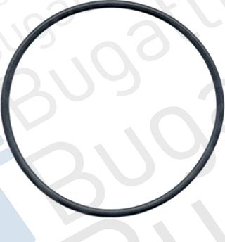 BUGATTI PA0316 - Водяной насос autodnr.net