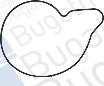 BUGATTI PA10060 - Водяной насос avtokuzovplus.com.ua