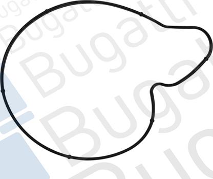 BUGATTI PA10122 - Водяной насос avtokuzovplus.com.ua