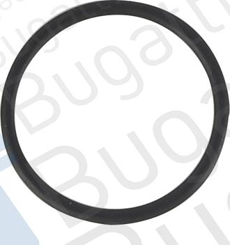 BUGATTI PA10222 - Водяной насос avtokuzovplus.com.ua