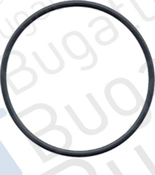 BUGATTI PA6002 - Водяной насос avtokuzovplus.com.ua