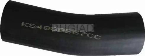 Bugiad 88618 - Трубка нагнітається повітря autocars.com.ua