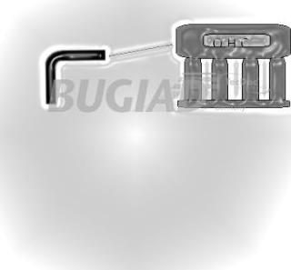 Bugiad 88623 - Патрубок інтеркулера Ford Fiesta. Fusion 1.4TDCi 02-12 autocars.com.ua