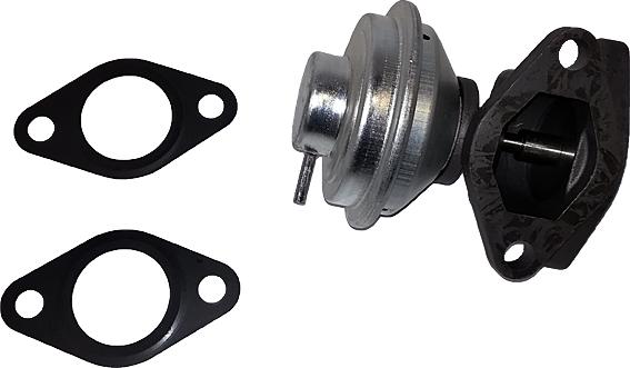 Bugiad BGR13031 - Клапан повернення ОГ autocars.com.ua