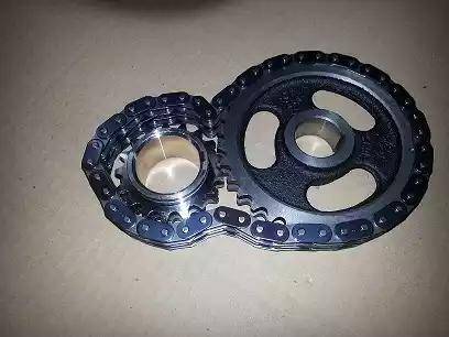 Bugiad BSP21920 - Ланцюг приводу распредвала autocars.com.ua