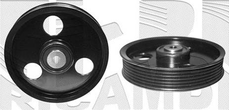 Caliber 10261 - Паразитний / провідний ролик, поліклиновий ремінь autocars.com.ua