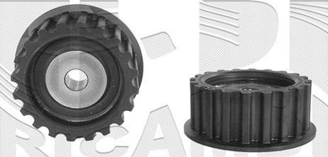 Caliber 17061 - Натяжна ролик, ремінь ГРМ autocars.com.ua