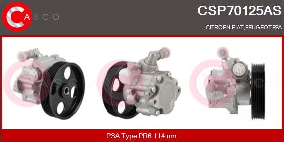 Casco CSP70125AS - Гидравлический насос, рулевое управление, ГУР autodnr.net