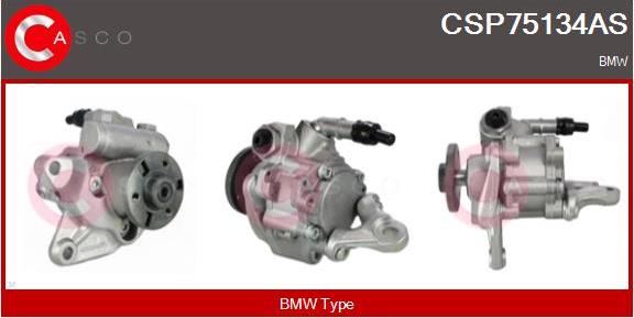 Casco CSP75134AS - Гидравлический насос, рулевое управление, ГУР autodnr.net