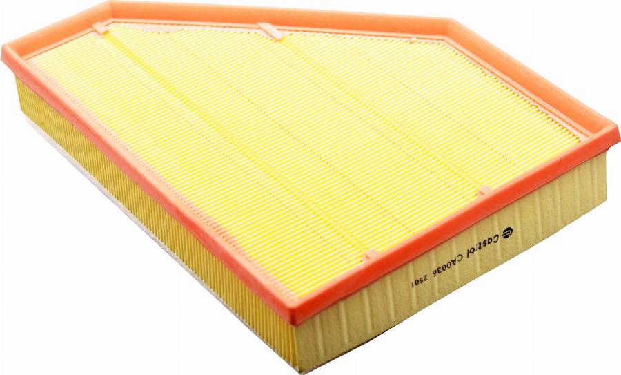 Castrol Filters CA0036 - Повітряний фільтр autocars.com.ua