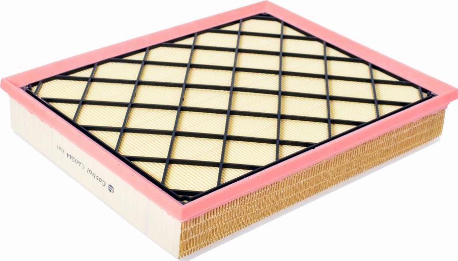 Castrol Filters CA0244 - Повітряний фільтр autocars.com.ua