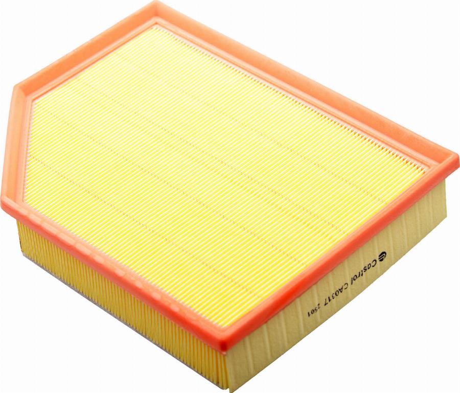 Castrol Filters CA0317 - Повітряний фільтр autocars.com.ua