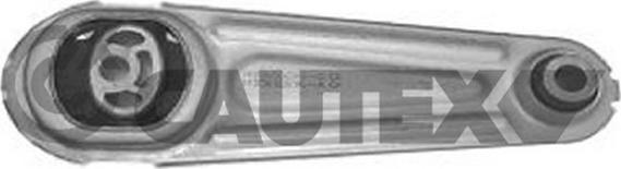Cautex 021505 - Подушка, підвіска двигуна autocars.com.ua