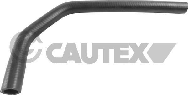 Cautex 036740 - Шланг радіатора autocars.com.ua