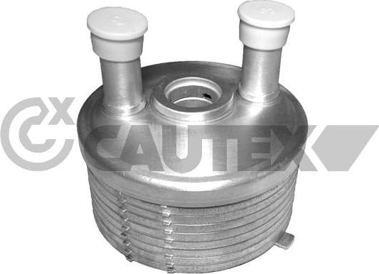 Cautex 462523 - Масляный радиатор, двигательное масло autodnr.net