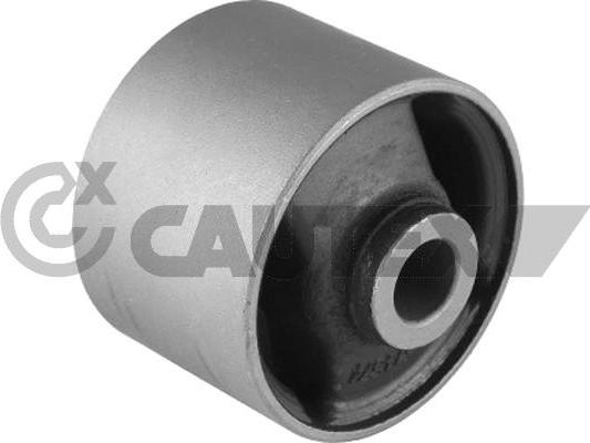 Cautex 752318 - Опора, диференціал autocars.com.ua