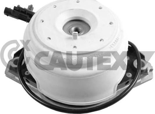 Cautex 753621 - Подушка, підвіска двигуна autocars.com.ua