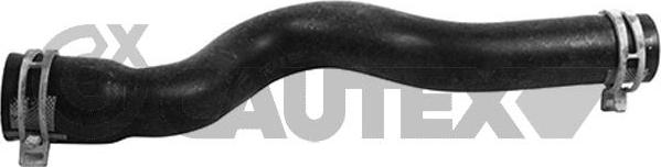 Cautex 753809 - Шланг радіатора autocars.com.ua