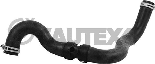 Cautex 753810 - Шланг радіатора autocars.com.ua