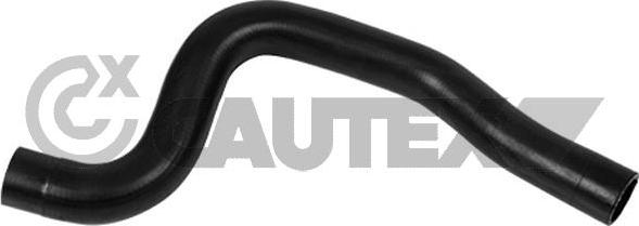 Cautex 754185 - Шланг радіатора autocars.com.ua