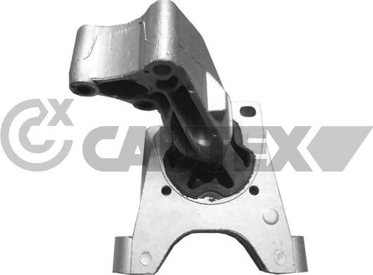 Cautex 756120 - Подушка, підвіска двигуна autocars.com.ua