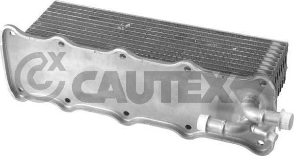 Cautex 760765 - Интеркулер autocars.com.ua