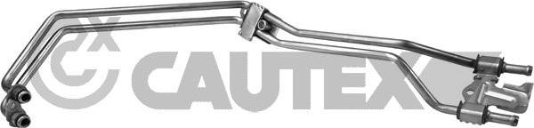 Cautex 764925 - Масляний шланг autocars.com.ua
