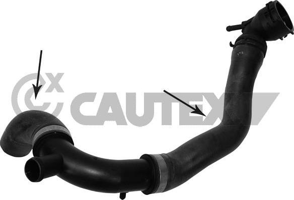 Cautex 765146 - Шланг радіатора autocars.com.ua