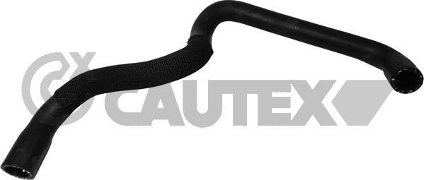 Cautex 765149 - Шланг радіатора autocars.com.ua