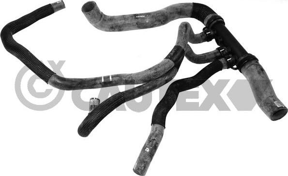 Cautex 765260 - Шланг радіатора autocars.com.ua