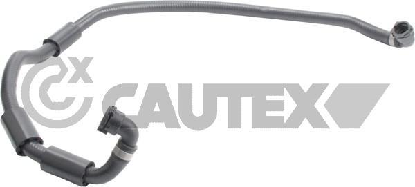 Cautex 765529 - Шланг радіатора autocars.com.ua