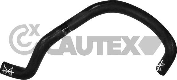 Cautex 765581 - Шланг радіатора autocars.com.ua